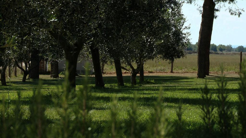 Agriturismo Piani Della Marina Монтальто-ди-Кастро Экстерьер фото