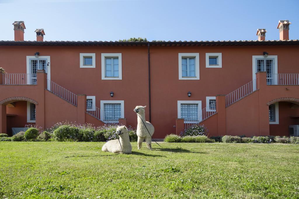Agriturismo Piani Della Marina Монтальто-ди-Кастро Экстерьер фото